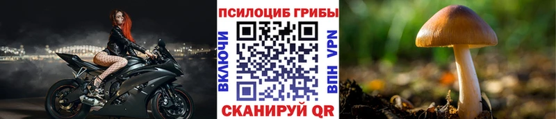 Псилоцибиновые грибы ЛСД  продажа наркотиков  Сосновый Бор 