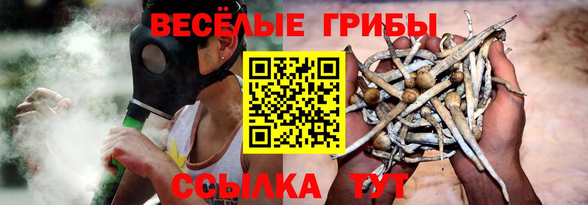 Галлюциногенные грибы ЛСД Сосновый Бор