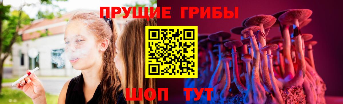 Псилоцибиновые грибы MAGIC MUSHROOMS  Вход с VPN  Сосновый Бор  Галлюциногенные грибы GOLDEN TEACHER 